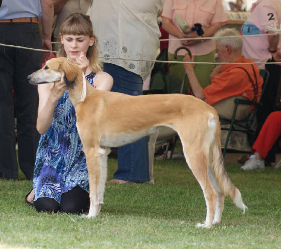 southerncountiesanddogsathomejune2010345.jpg