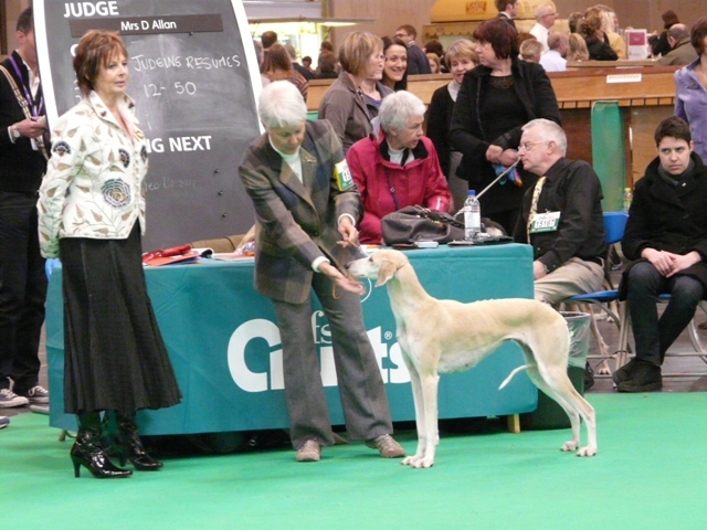 crufts20110lalique.jpg