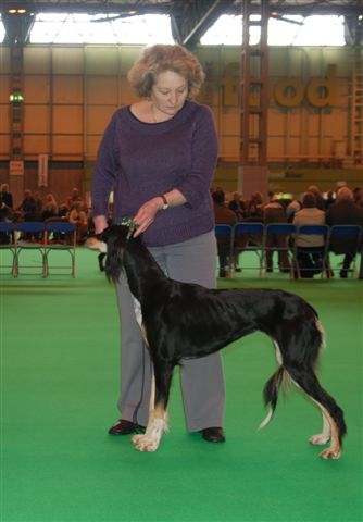 miracleatcrufts09.jpg