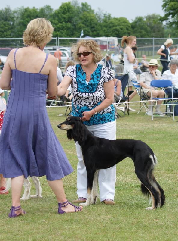 southerncountiesanddogsathomejune2010493.jpg